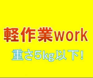 簡単な塗装・検査など カンタン軽作業 snd147-2a