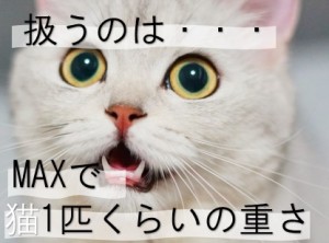 時間帯選べる 接着剤などの運搬 ngy131