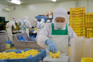 簡単 パイナップルなどの食品パック詰め