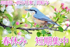 文房具や備品の検品・梱包作業