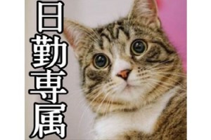安定の日勤!!正社員さんの補助作業