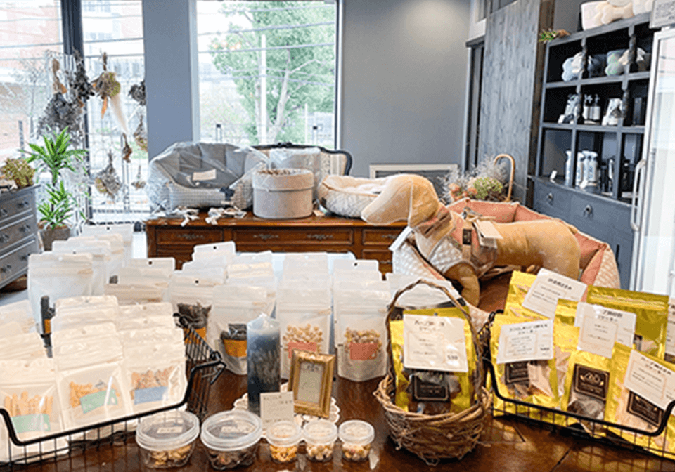 びずめし事業紹介