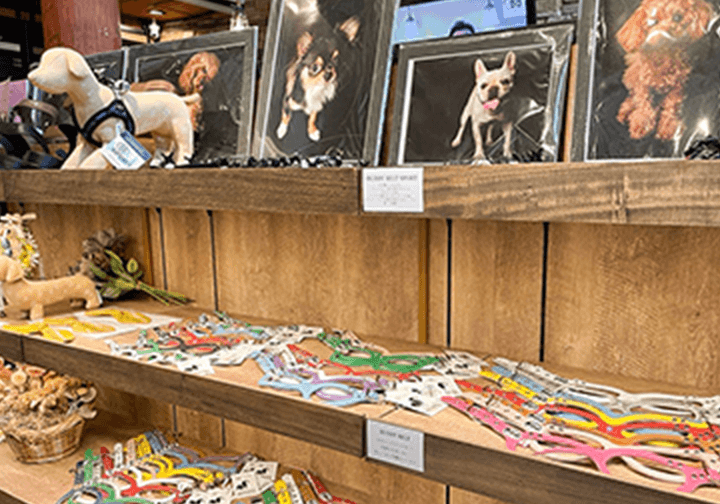 メガネフレーム雑貨