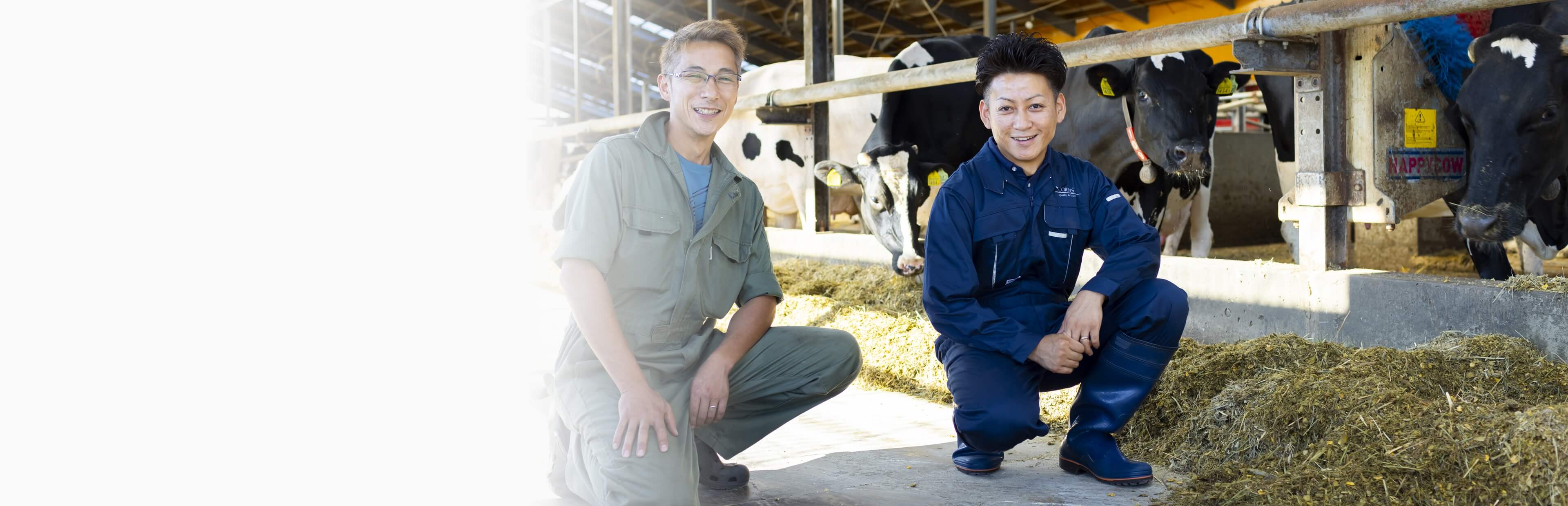 メインビジュアル