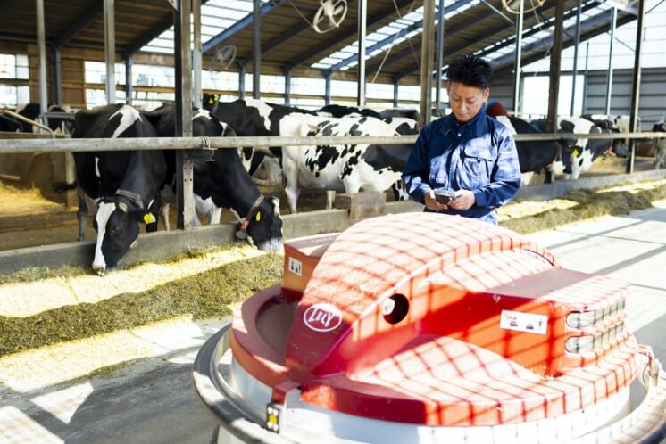 作業をする従業員