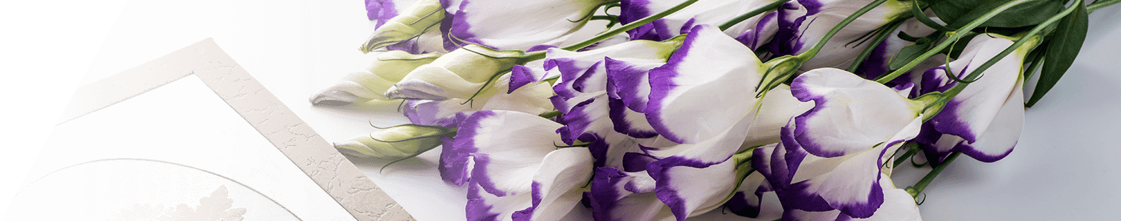 New 新着お仕事情報