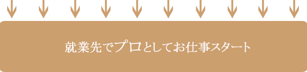 お仕事スタート
