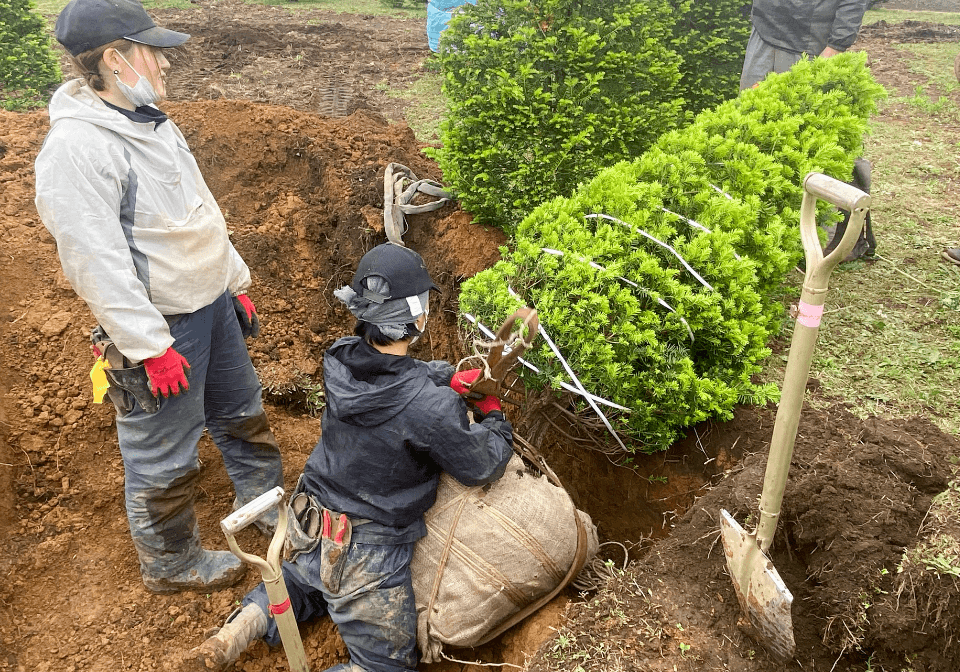 樹木作業する男性社員