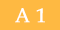 A1